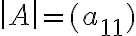 det A =(a_{11})