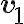 \textbf{v}_1