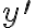  y^{\prime} 