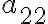 a_{22}