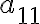a_{11}