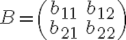 B=\begin{pmatrix} b_{11}& b_{12} \\ b_{21}& b_{22} \end{pmatrix}
