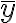  \bar{y} 